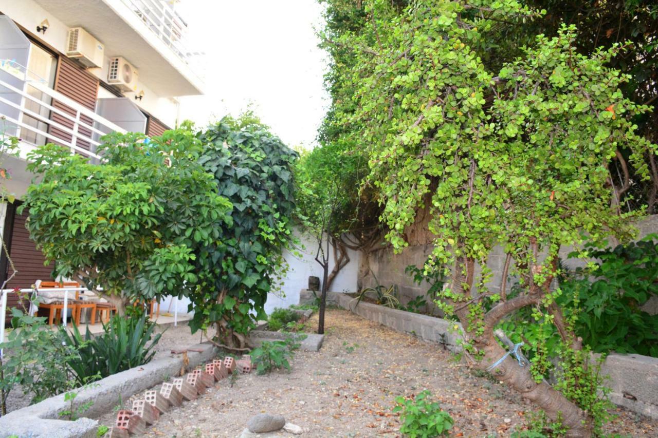 Golden Star Hotel Agia Marina  Exterior foto